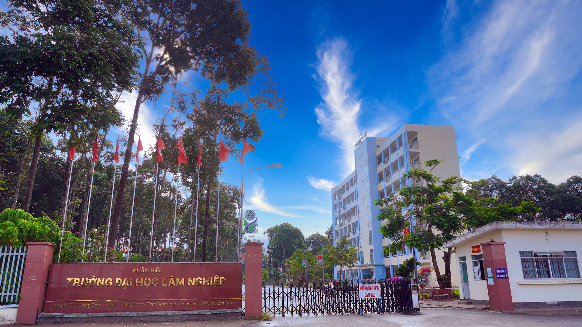 VNUF2 - University of Forestry