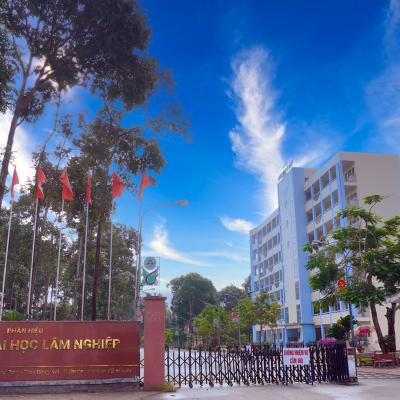 School Gate