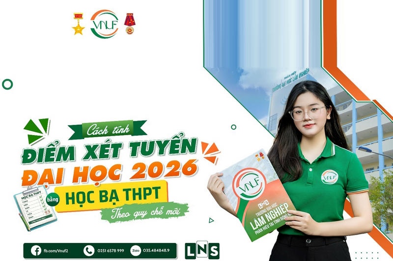 Cách tính điểm xét tuyển đại học 2026 bằng học bạ THPT theo quy chế mới